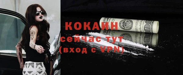 дживик Новодвинск