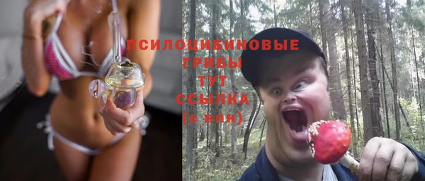 дживик Новодвинск