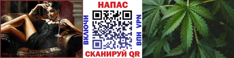 Конопля сатива  площадка какой сайт  Ясногорск 